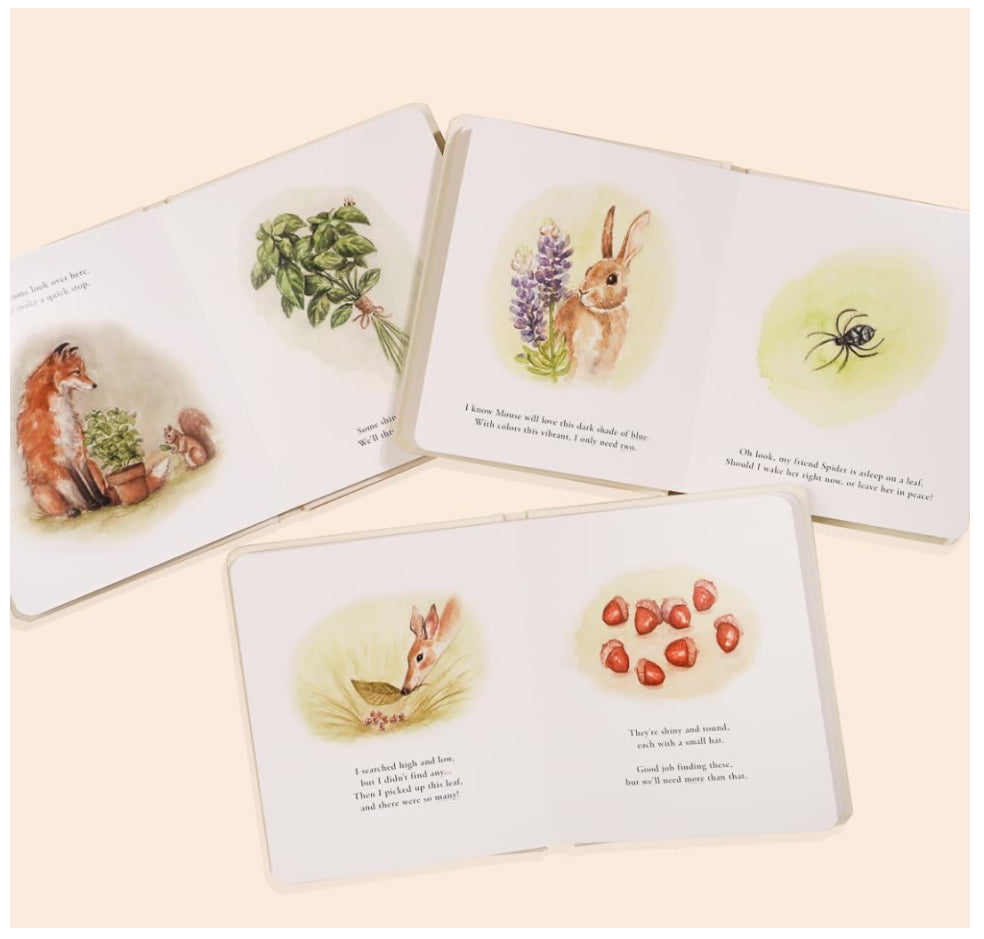 Our Little Adventures - Board Book Box Set - Tabitha Paige