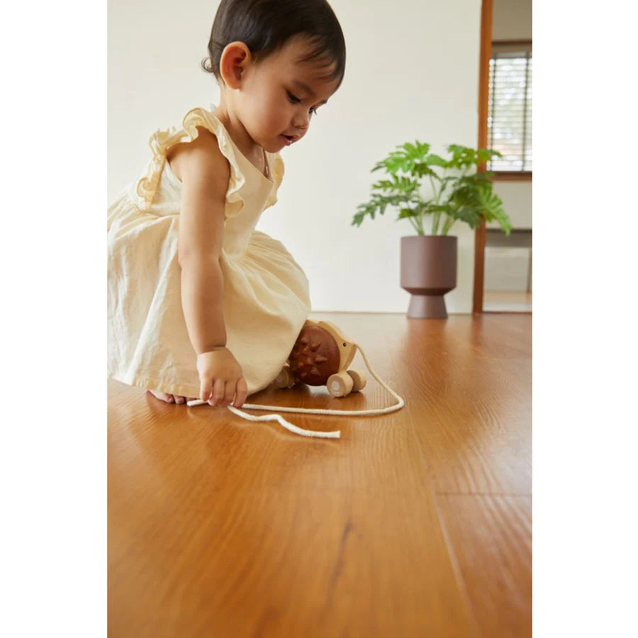 PlanToys - Pull Along Hedgehog - Brown