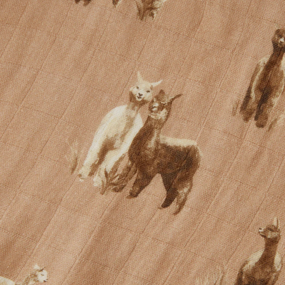 Milkbarn - Organic Swaddle - Alpaca