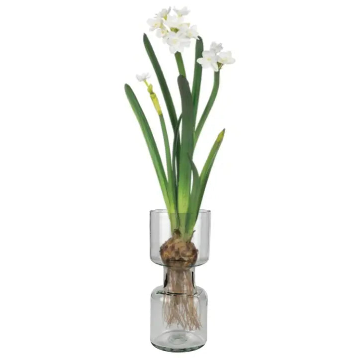Spry Bulb Vase - Glass