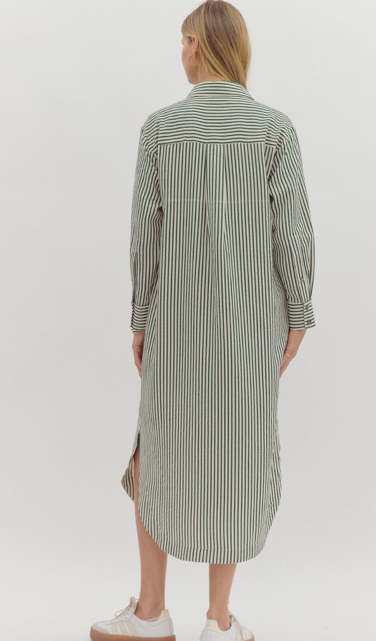 Textured Button Down Dress - Green Stripe