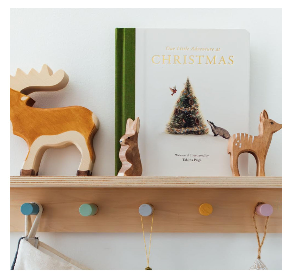 Our Little Adventure at Christmas - Tabitha Paige