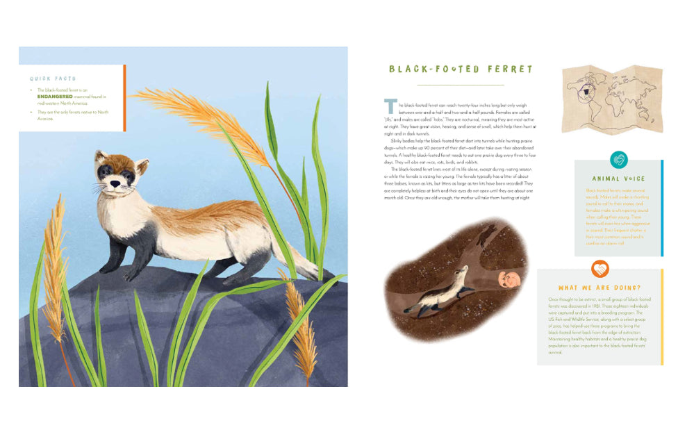 Hear Them Roar!- June Smalls + Becky Thorns