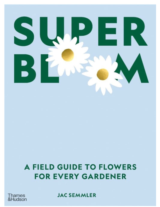 Super Bloom - Jac Semmler