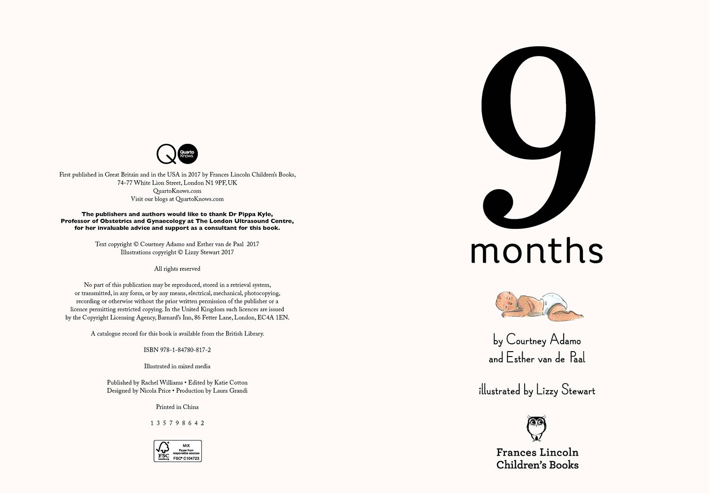 9 Months: A month by month guide to pregnancy for the family to share