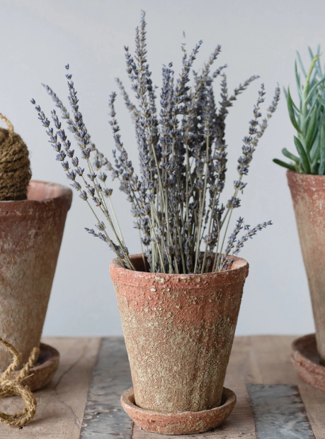 Distressed Cement Planter with Saucer - Small