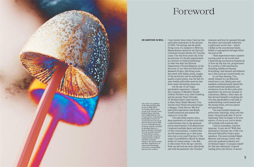 The Future is Fungi - Michael Lim + Yun Shu