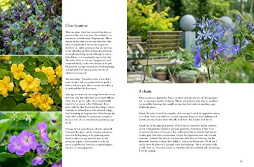 Containers in the Garden - Claus Dalby