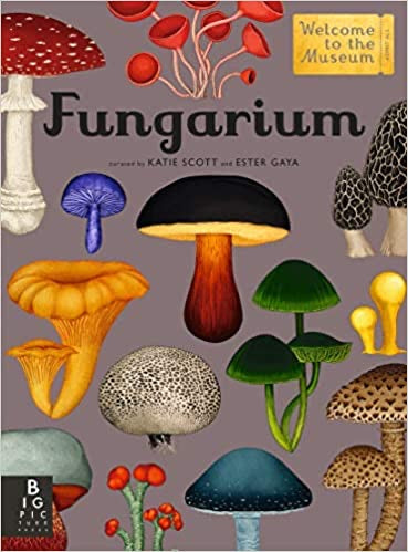 Fungarium - Katie Scott and Ester Gaya