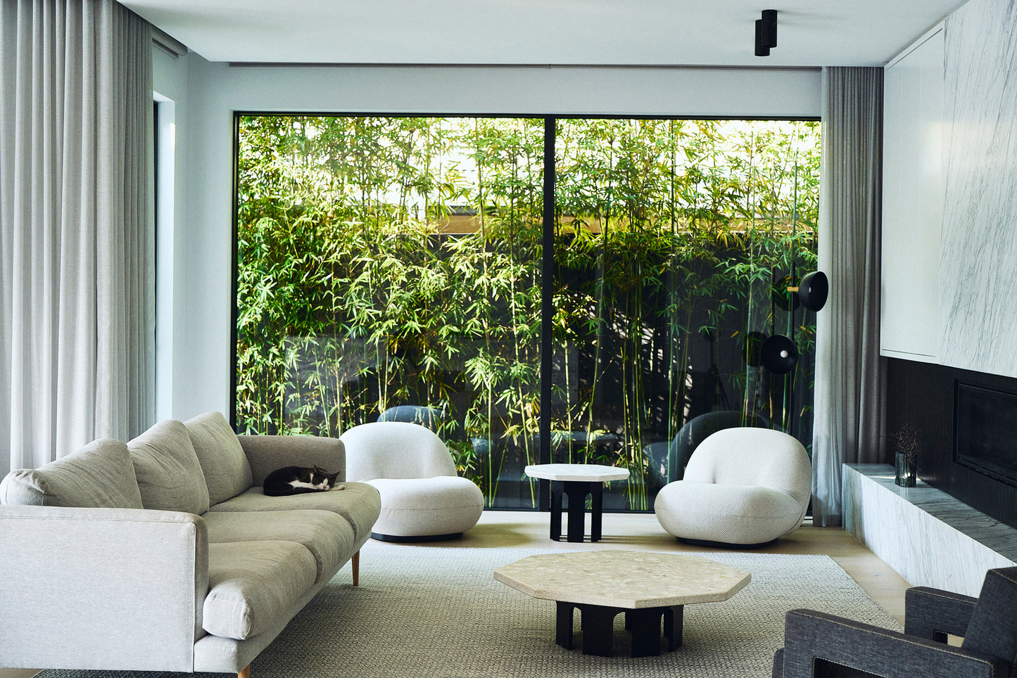 Where They Purr - Paul Barbera