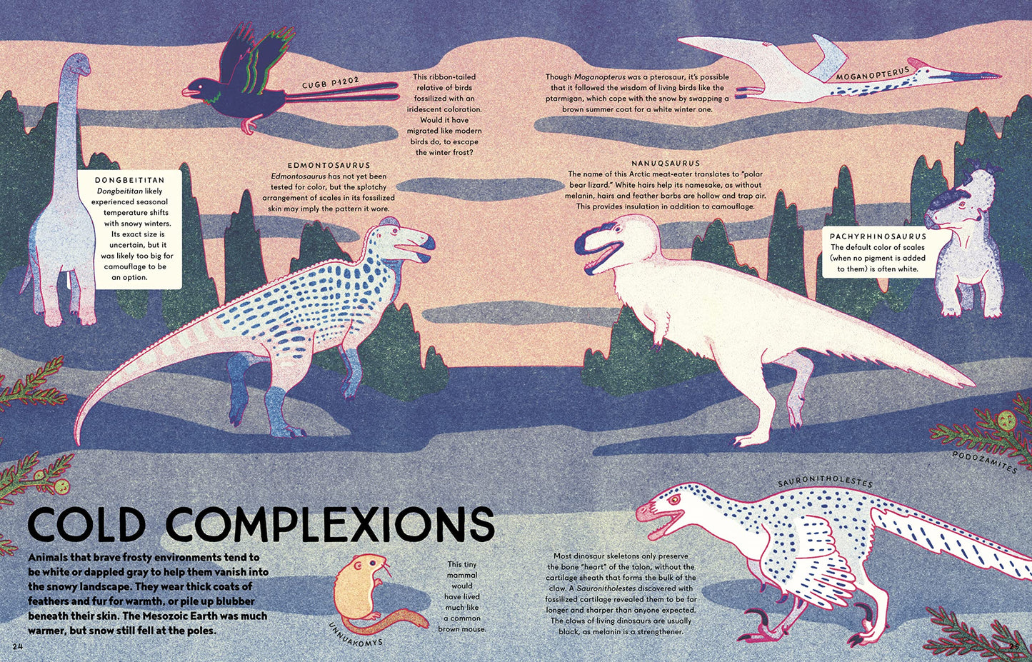Kaleidoscope of Dinosaur’s