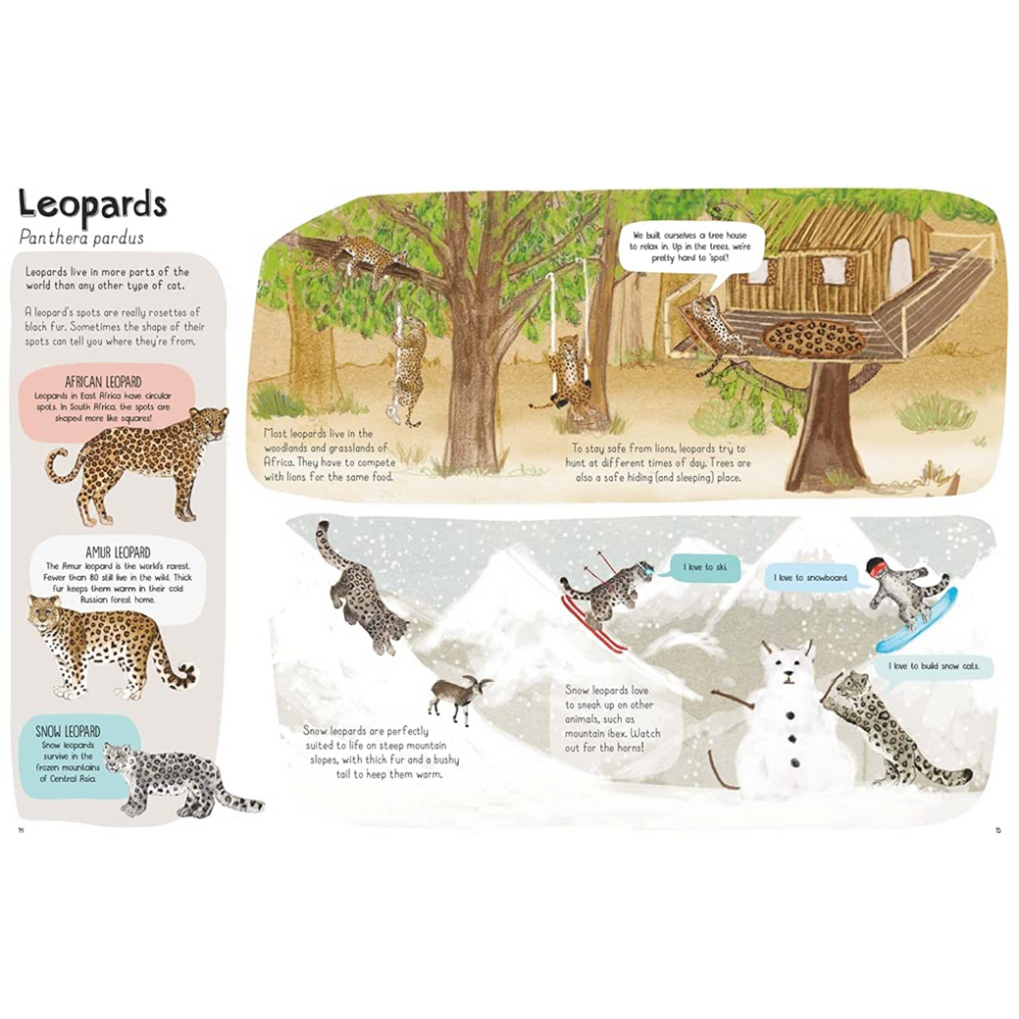 A Book Of Cats - Katie Viggers