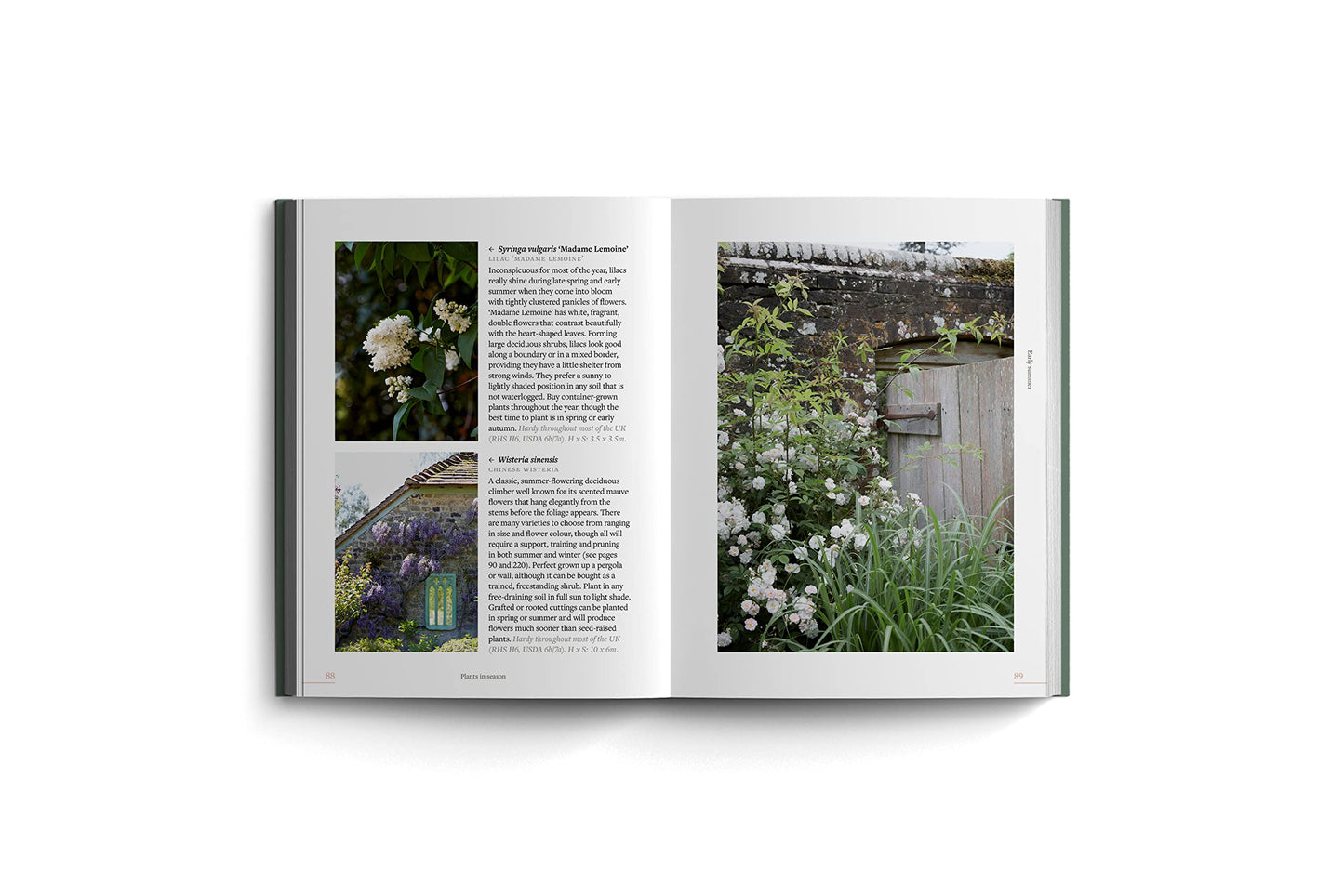 What to Sow, Grow and Do - Benjamin Pope