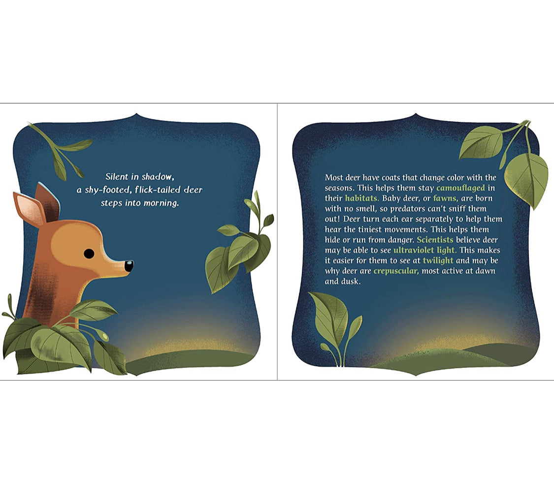 Morning Sunshine by Keely Parrack