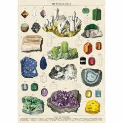 Cavallini- Vintage Poster - Mineralogie