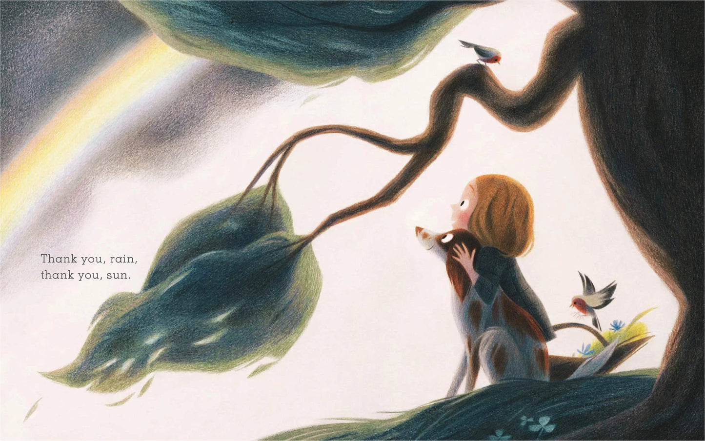 Apple Cake- Dawn Casey