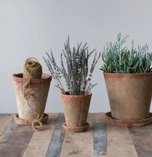 Distressed Planter with Saucer - Large