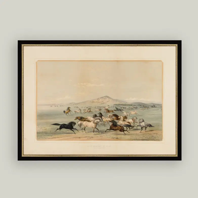 Field of Horses Framed Art
