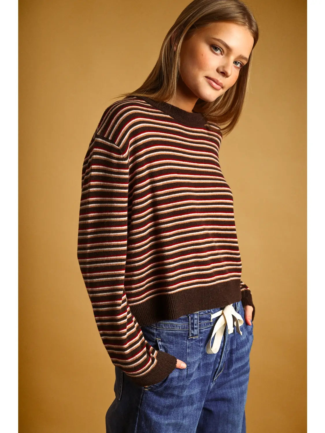 Striped Round Neck Knit Top - Brown Multi