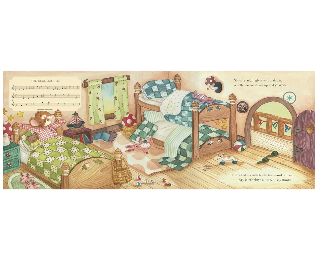 The Birthday Music Book - illustrated by Amy Adele