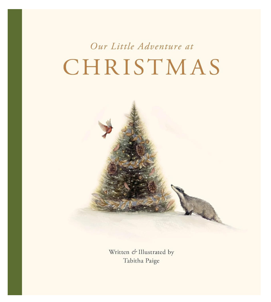 Our Little Adventure at Christmas - Tabitha Paige