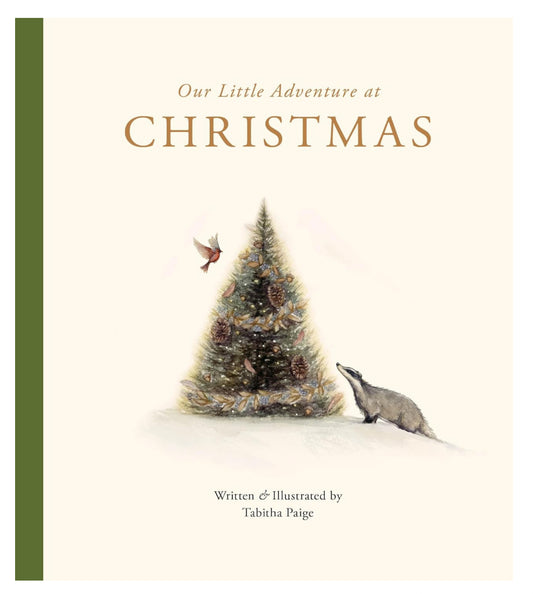 Our Little Adventure at Christmas - Tabitha Paige