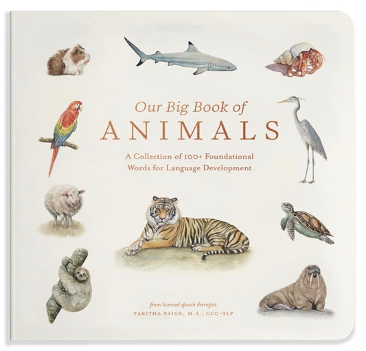 Our Big Book Of Animals - Tabitha Paige