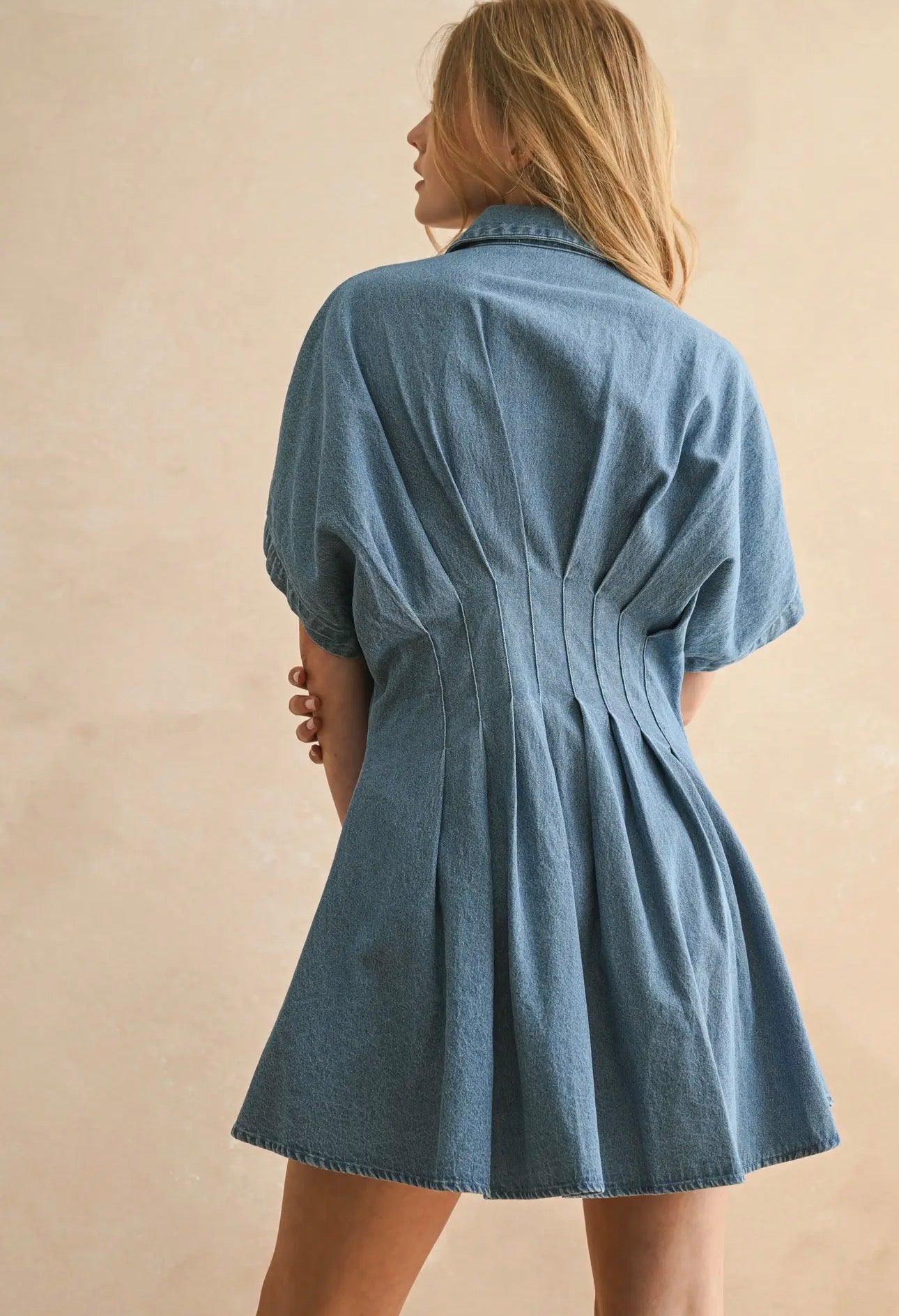 Button Front Pintuck Denim Dress
