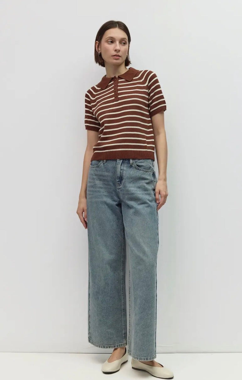Short Sleeve Polo Sweater - Chocolate Stripe