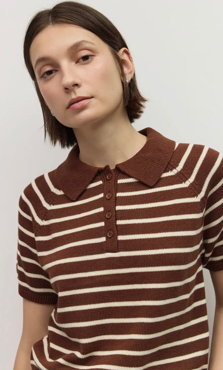 Short Sleeve Polo Sweater - Chocolate Stripe