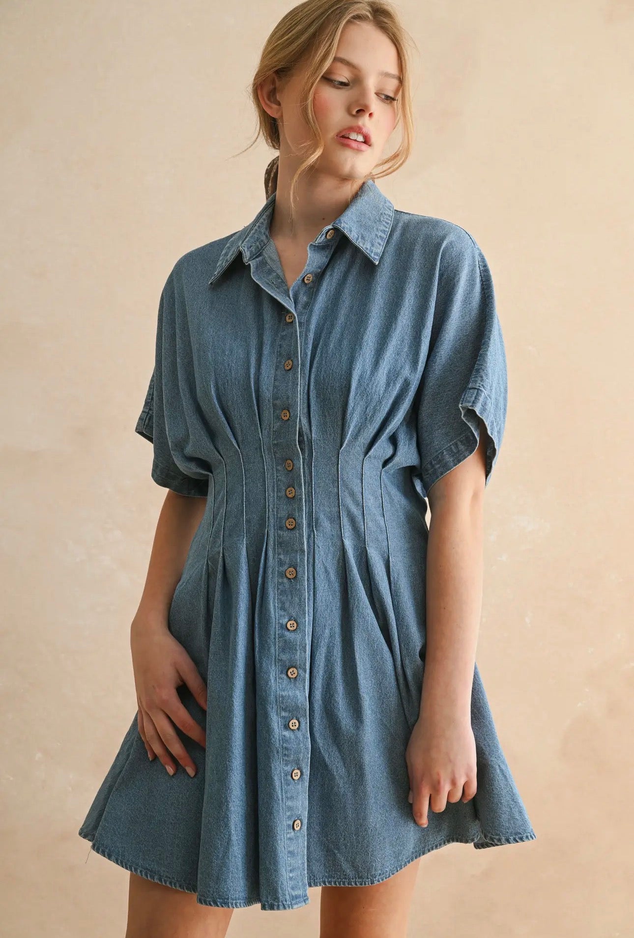 Button Front Pintuck Denim Dress