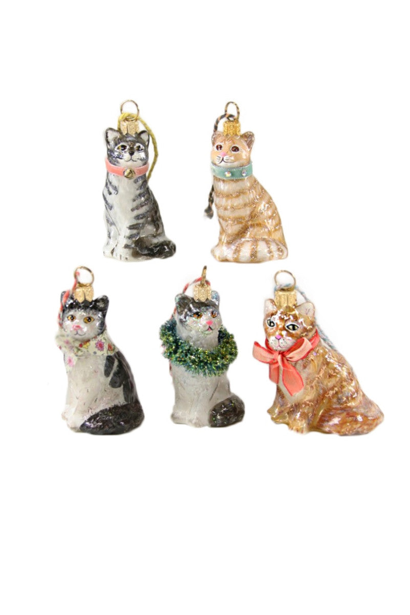 Cody Foster - Kitten Ornament