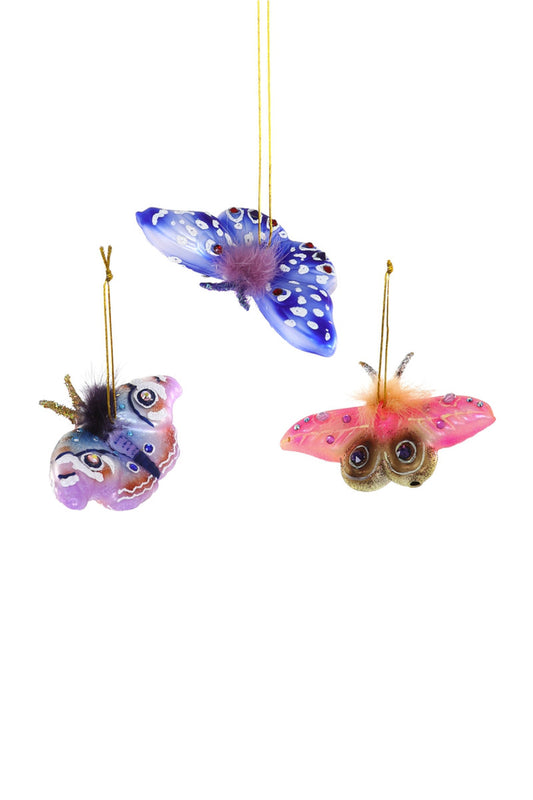 Cody Foster - Garden Butterfly + Moth Ornaments