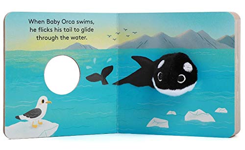 Baby Orca - Finger Puppet Book - Yu-Hsuan Huang