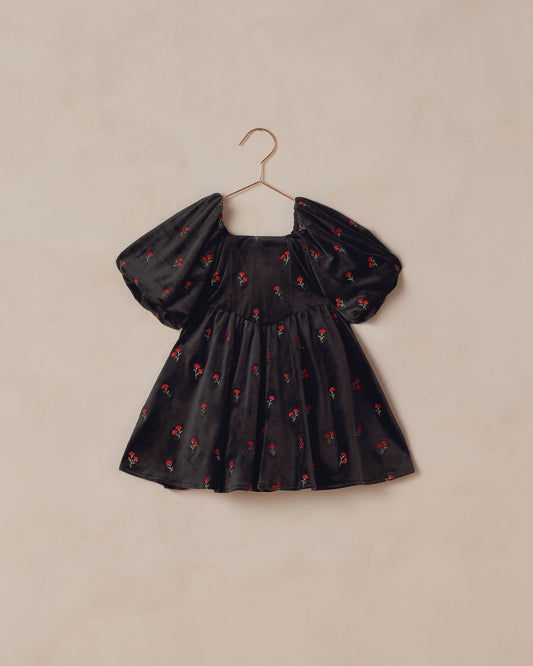 Noralee - Nina Dress - Velvet Floral