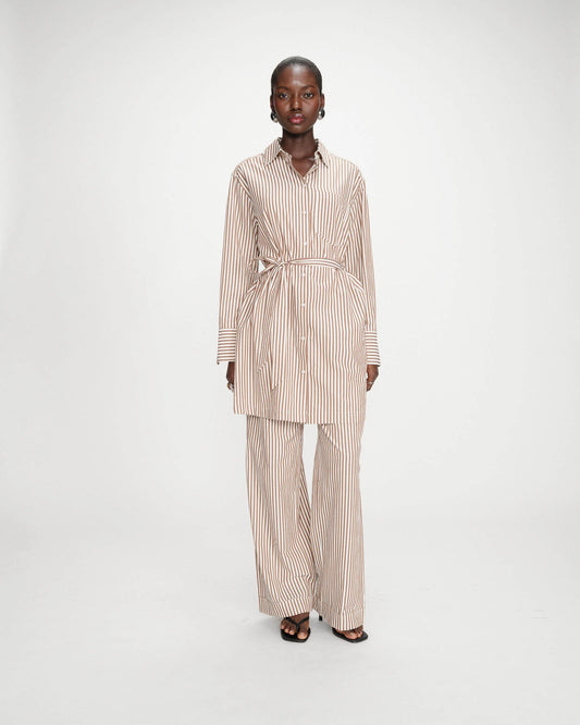 Visery Long Sleeve Dress - Mocha Stripe