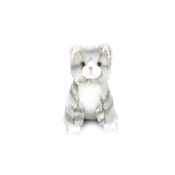Mon Ami - Cassie Kitty