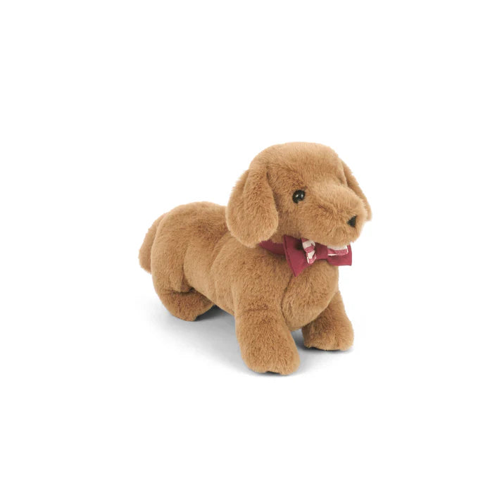 Mon Ami - Dapper Dachshund