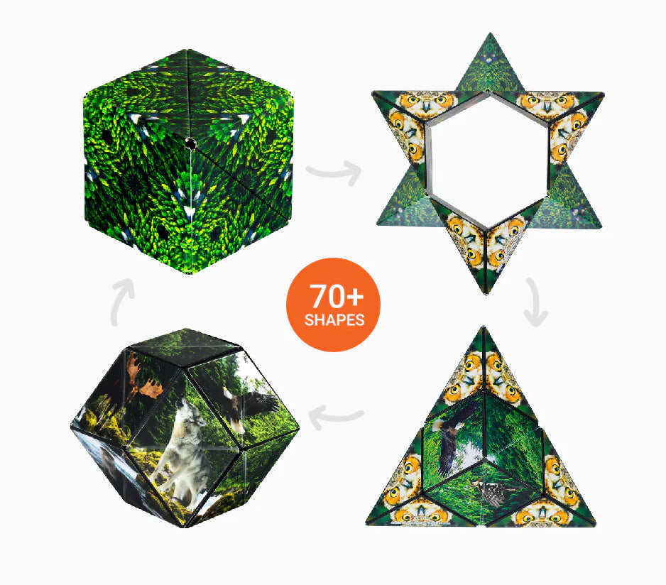 Shashibo - Cube Puzzle -Forest