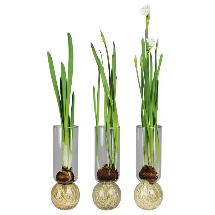 Tall Bulb Vase