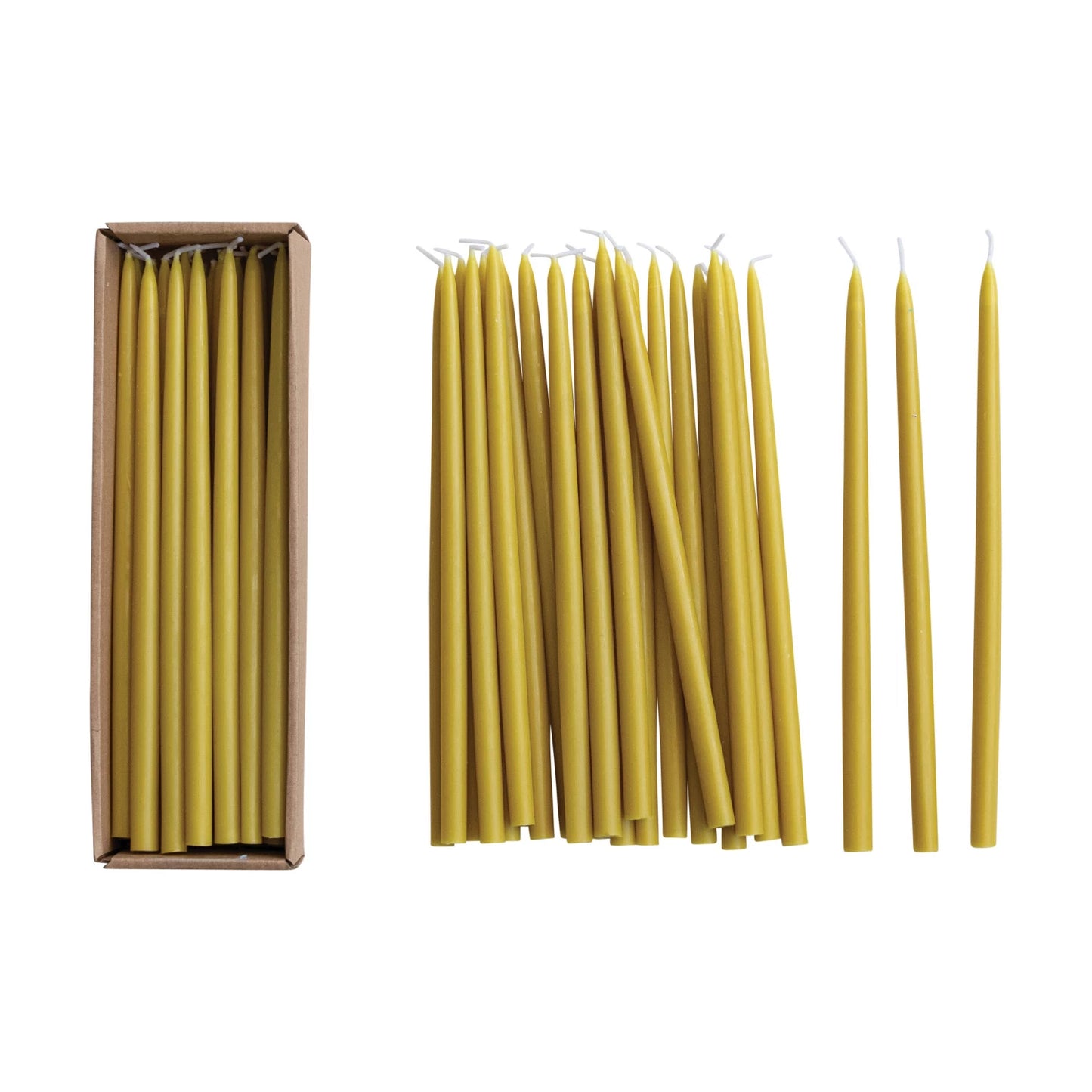 Unscented Thin Taper Candles in Box - Set of 24 - Chartreuse