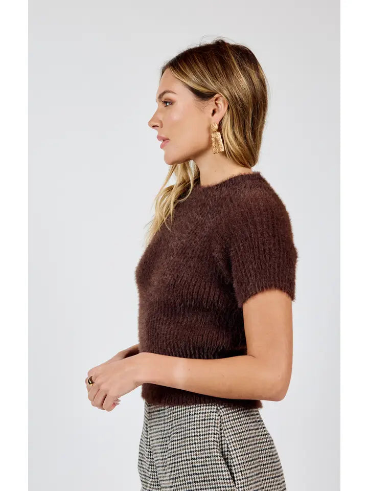 Rudy Ribbed Short Sleeve Sweater - Brown