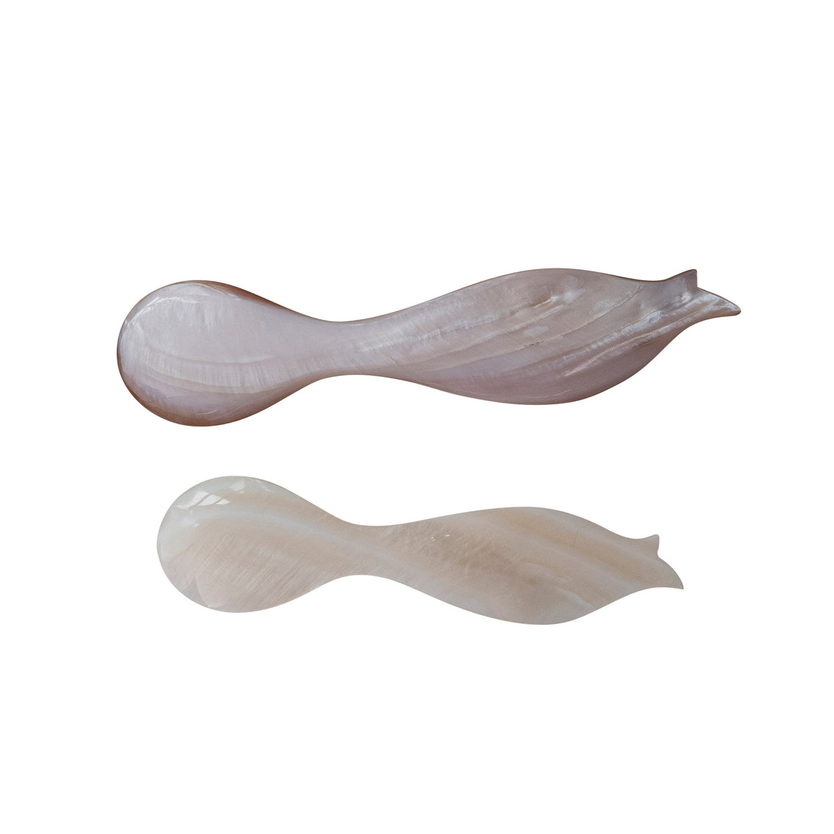 Natural Shell Spoon with Fish Shaped Handle