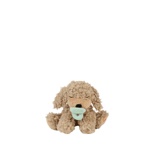 Dinkum Dolls - Binky Puppy - Benny