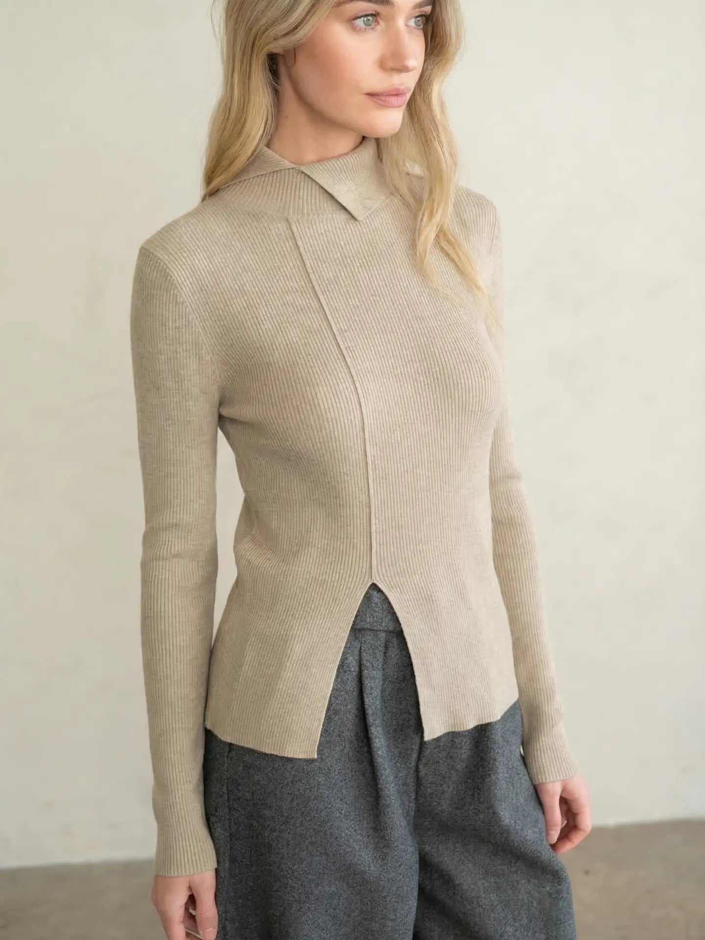 Turtleneck Rib Knit Top - Beige
