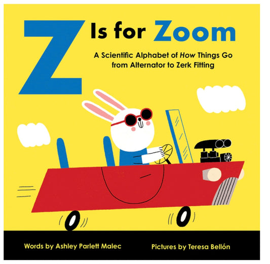 Z is for Zoom - Ashley Parlett Malec