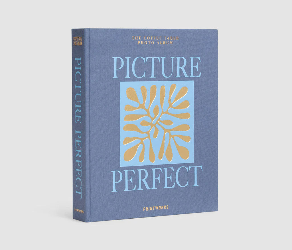 Picture Perfect Photo Album - Blue