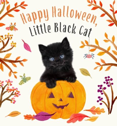 Happy Halloween Little Black Cat - Amanda Wood