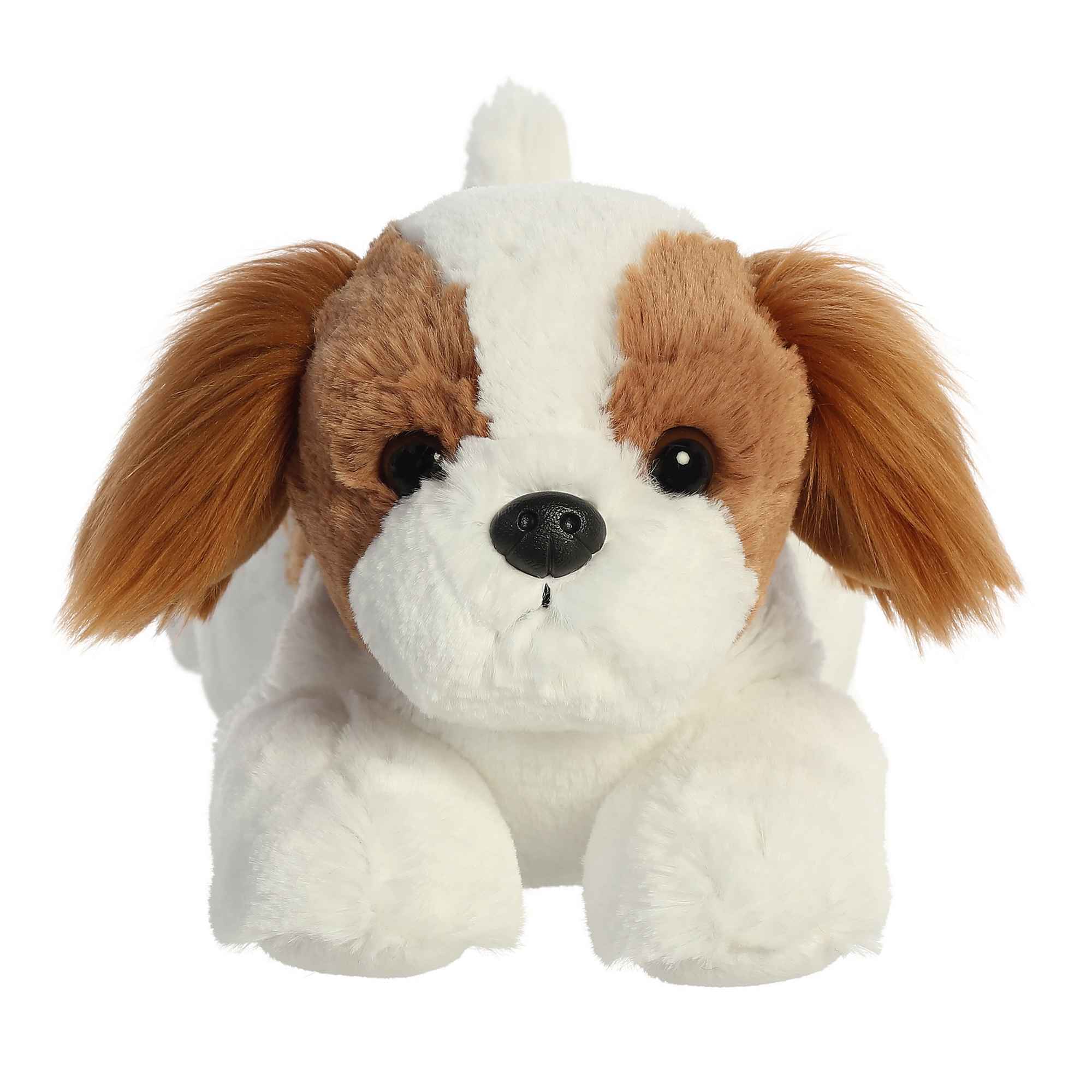 Webkinz shih clearance tzu