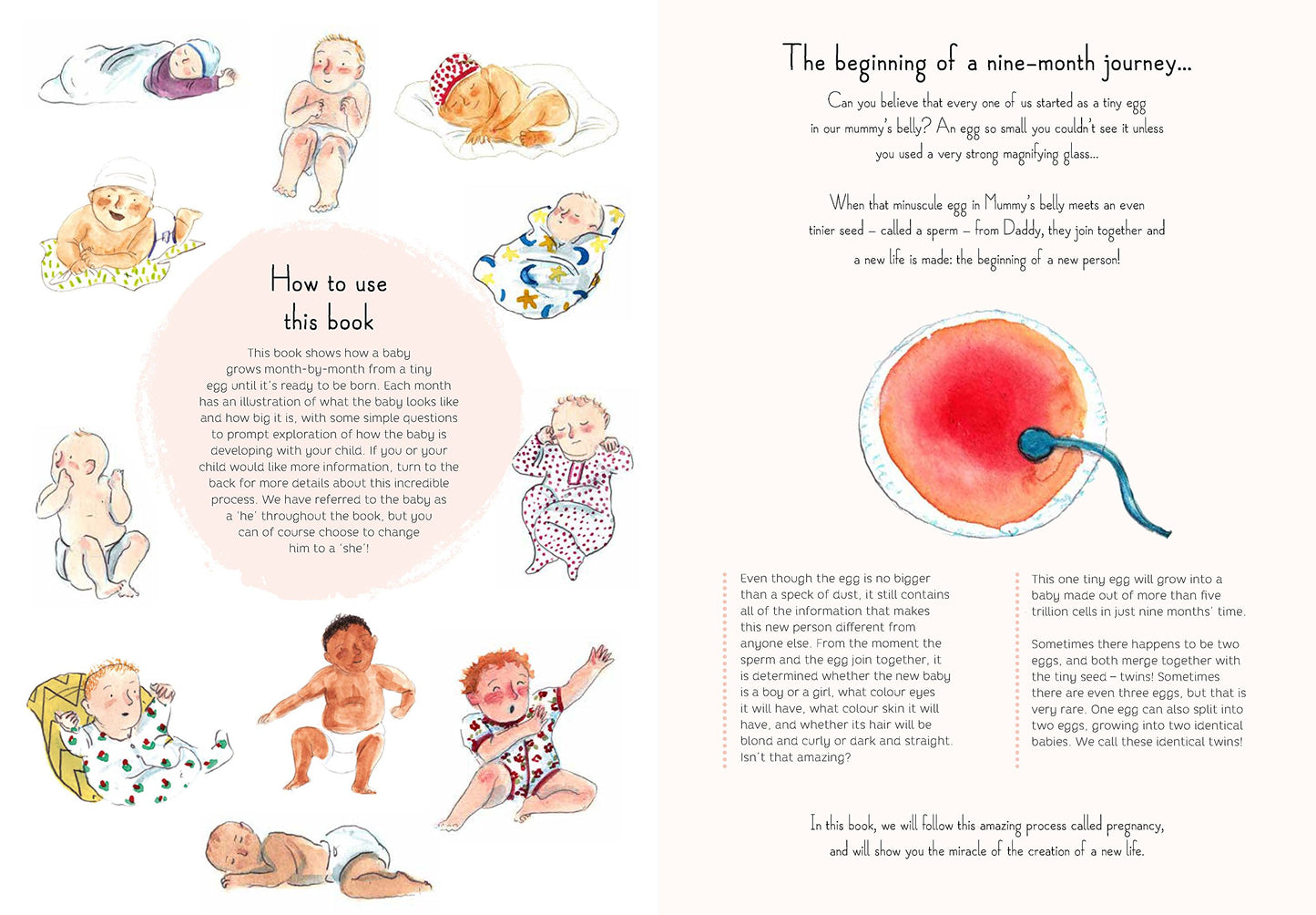 9 Months: A month by month guide to pregnancy for the family to share